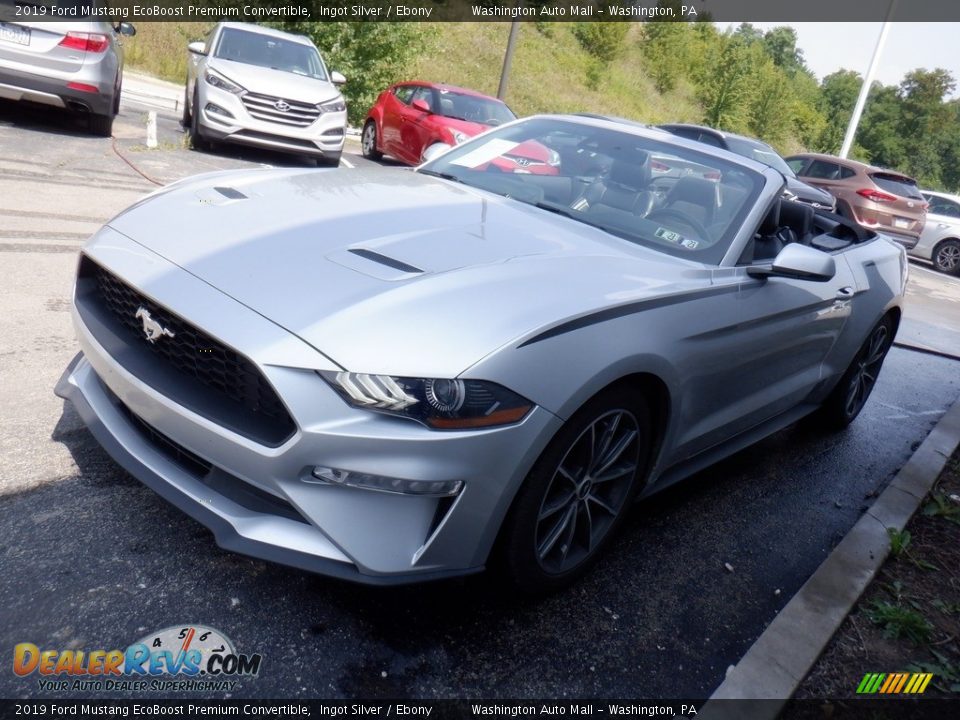 2019 Ford Mustang EcoBoost Premium Convertible Ingot Silver / Ebony Photo #9