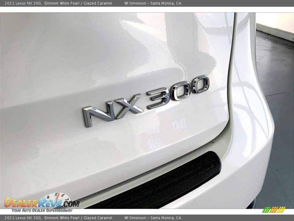 2021 Lexus NX 300 Logo Photo #7
