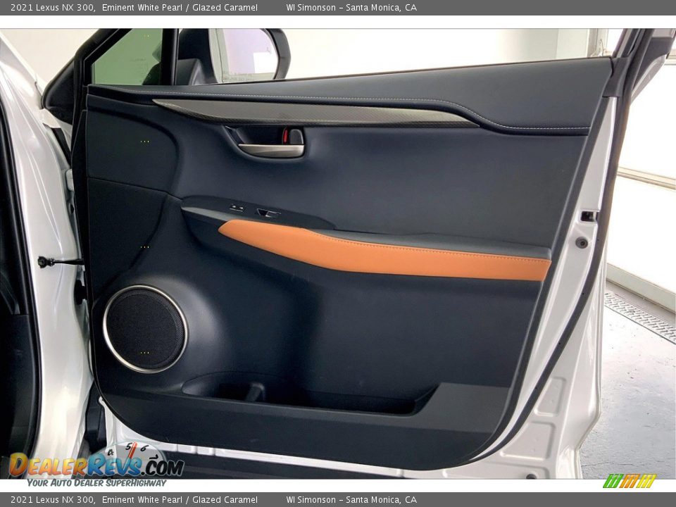 Door Panel of 2021 Lexus NX 300 Photo #26