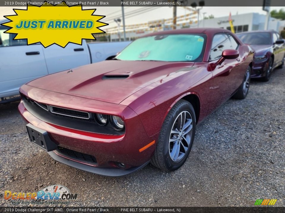 2019 Dodge Challenger SXT AWD Octane Red Pearl / Black Photo #1