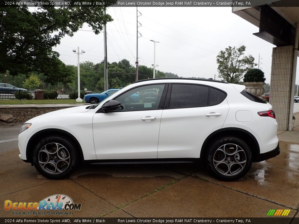 Alfa White 2024 Alfa Romeo Stelvio Sprint AWD Photo #2