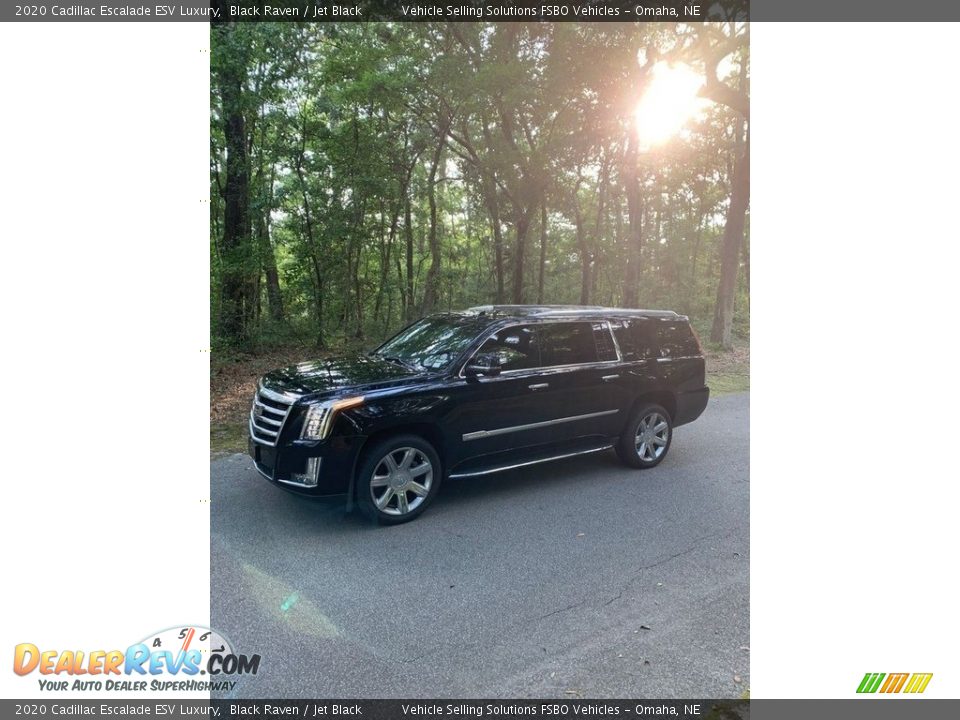 2020 Cadillac Escalade ESV Luxury Black Raven / Jet Black Photo #1