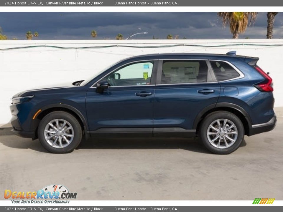 Canyon River Blue Metallic 2024 Honda CR-V EX Photo #6