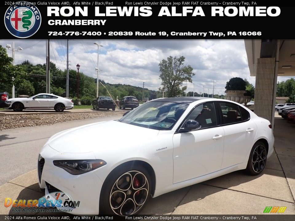 2024 Alfa Romeo Giulia Veloce AWD Alfa White / Black/Red Photo #1