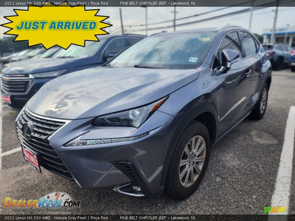 2021 Lexus NX 300 AWD Nebula Gray Pearl / Rioja Red Photo #1