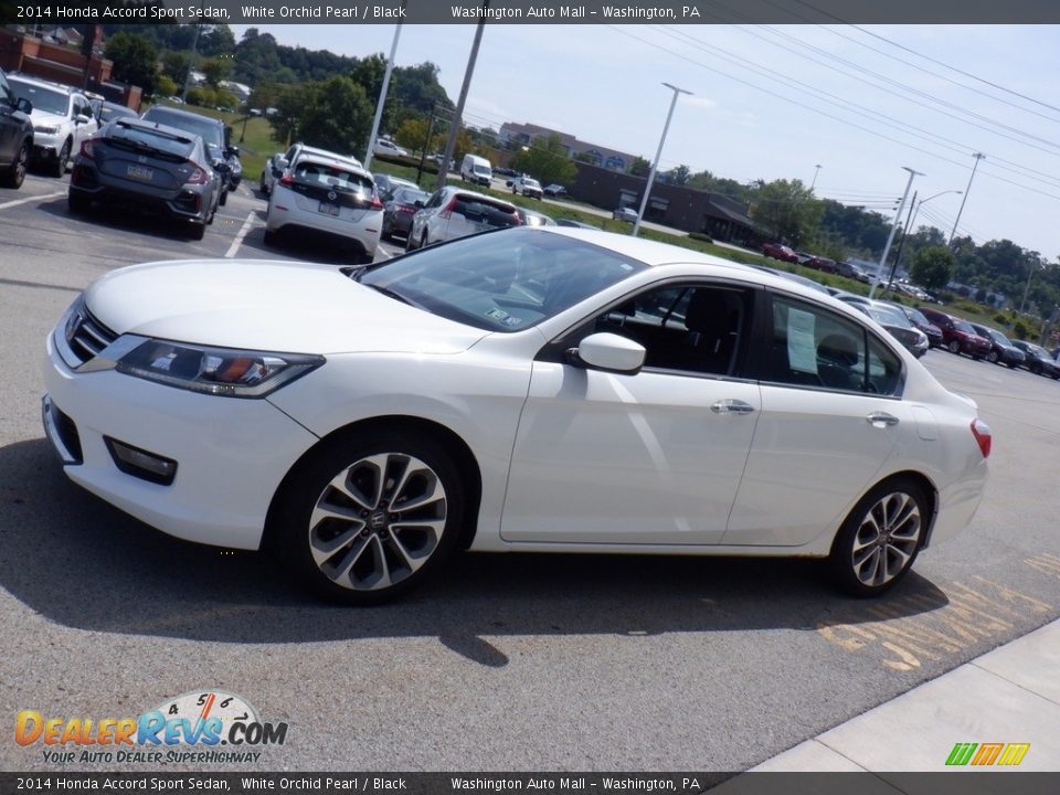 2014 Honda Accord Sport Sedan White Orchid Pearl / Black Photo #6