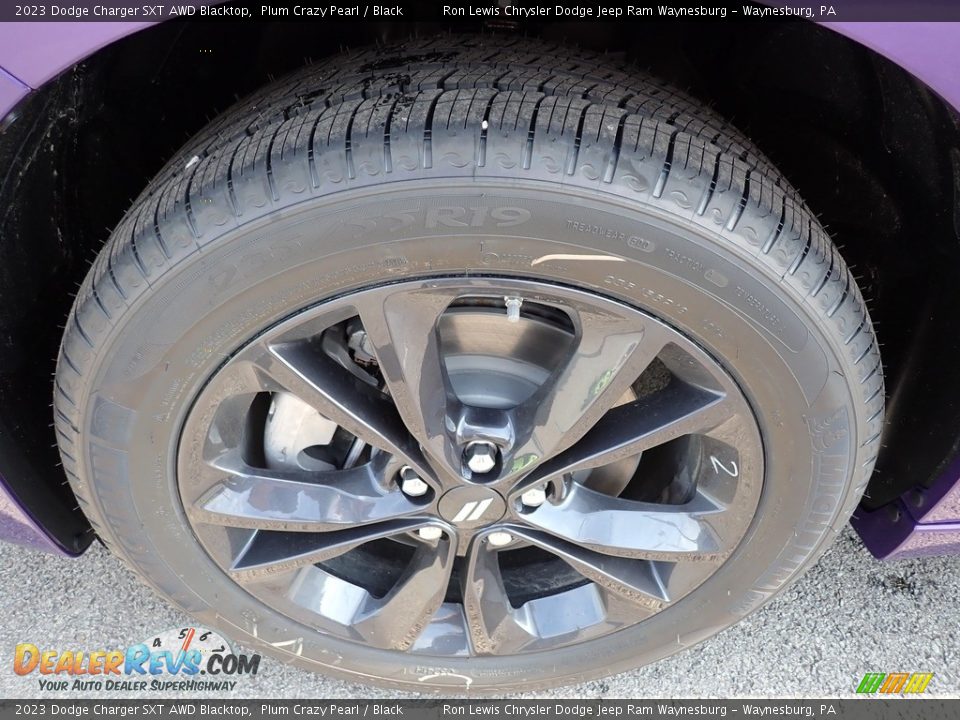 2023 Dodge Charger SXT AWD Blacktop Plum Crazy Pearl / Black Photo #10