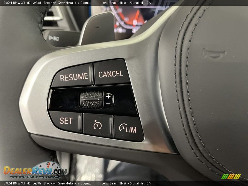 2024 BMW X3 xDrive30i Steering Wheel Photo #15