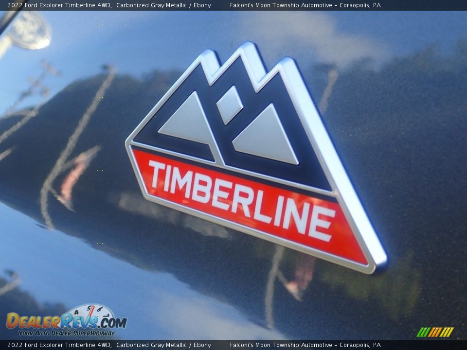 2022 Ford Explorer Timberline 4WD Logo Photo #18