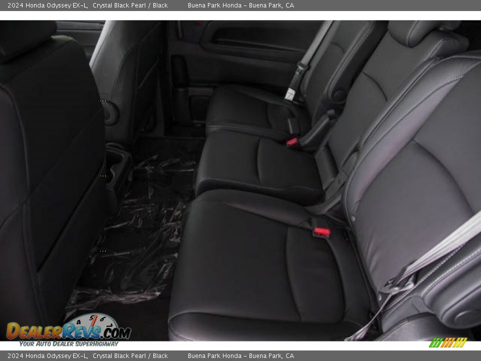 Rear Seat of 2024 Honda Odyssey EX-L Photo #16