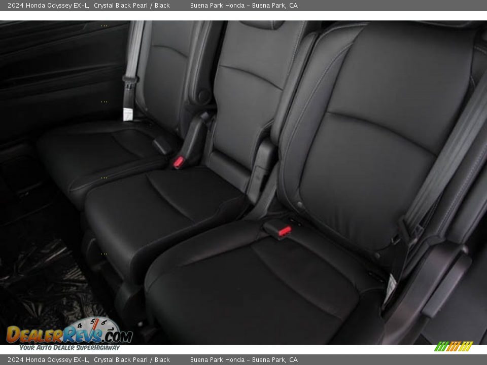 Rear Seat of 2024 Honda Odyssey EX-L Photo #25