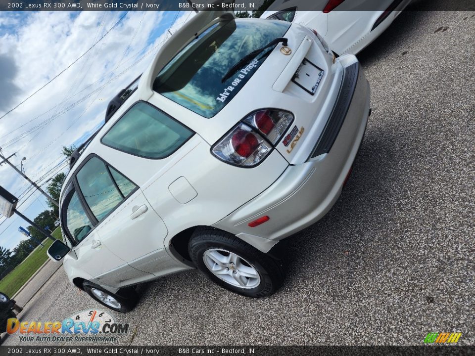 2002 Lexus RX 300 AWD White Gold Crystal / Ivory Photo #3