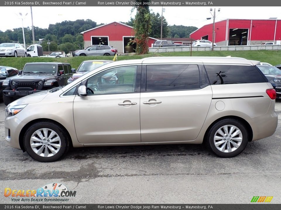 Beechwood Pearl 2016 Kia Sedona EX Photo #2