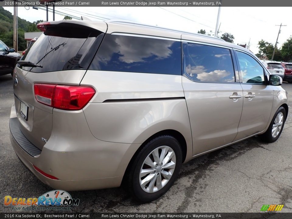 Beechwood Pearl 2016 Kia Sedona EX Photo #6