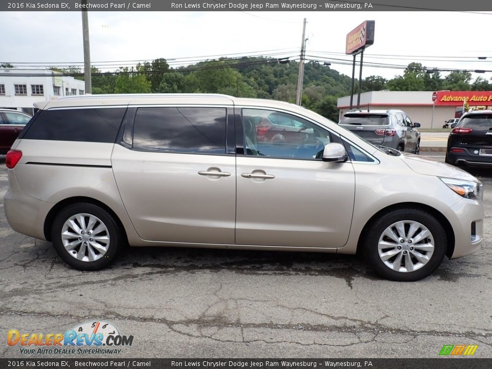 Beechwood Pearl 2016 Kia Sedona EX Photo #7