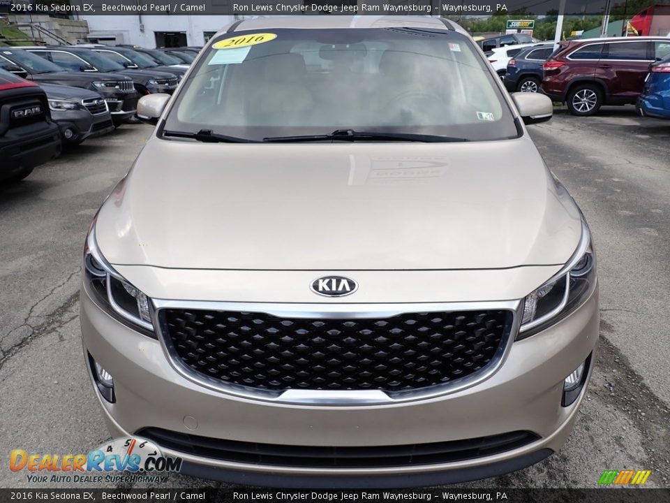 Beechwood Pearl 2016 Kia Sedona EX Photo #9