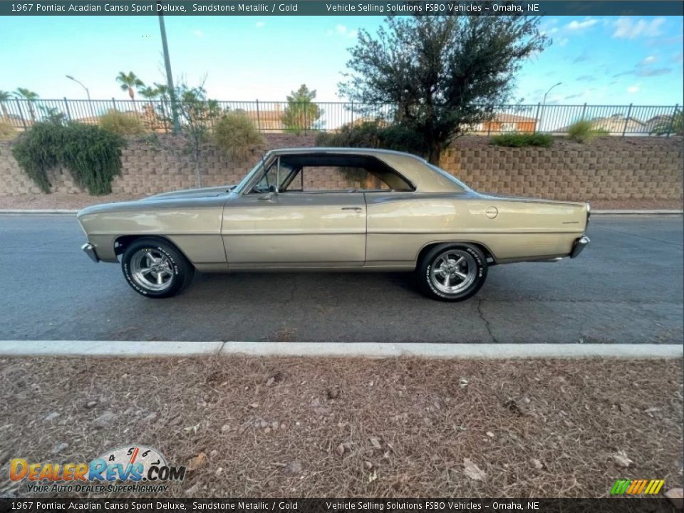 Sandstone Metallic 1967 Pontiac Acadian Canso Sport Deluxe Photo #3