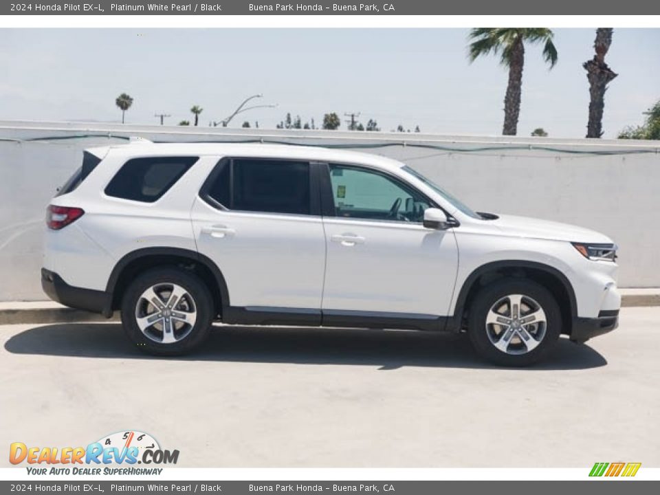 Platinum White Pearl 2024 Honda Pilot EX-L Photo #8