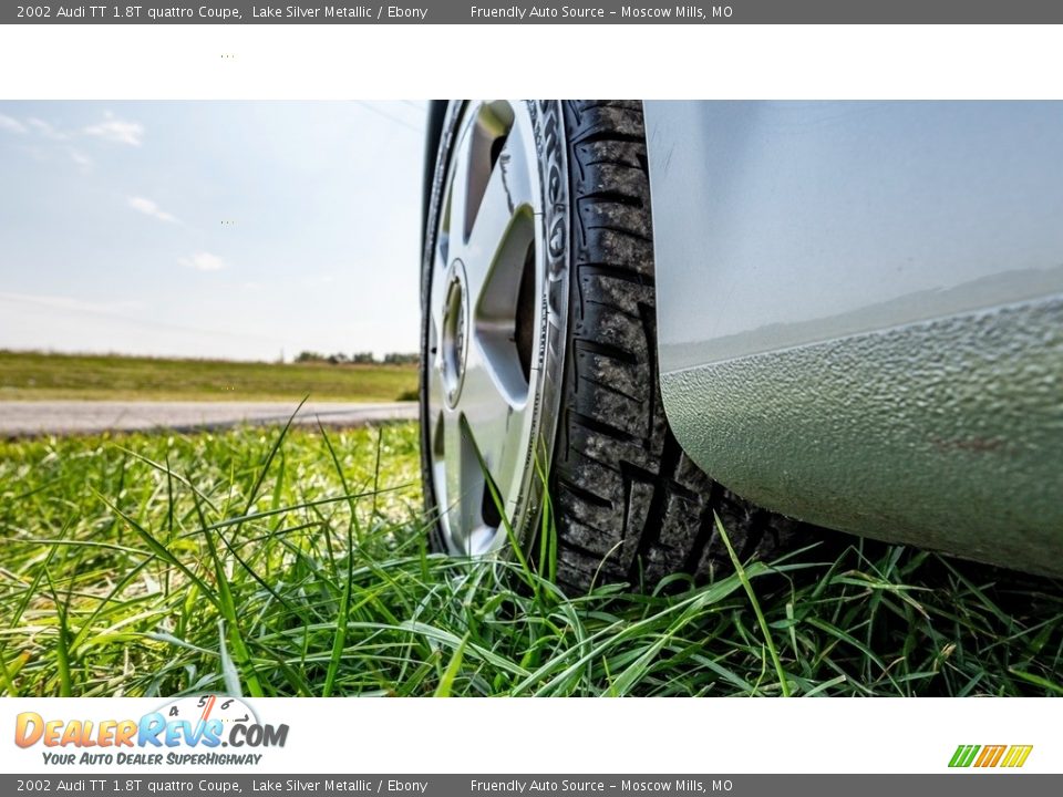 2002 Audi TT 1.8T quattro Coupe Lake Silver Metallic / Ebony Photo #13