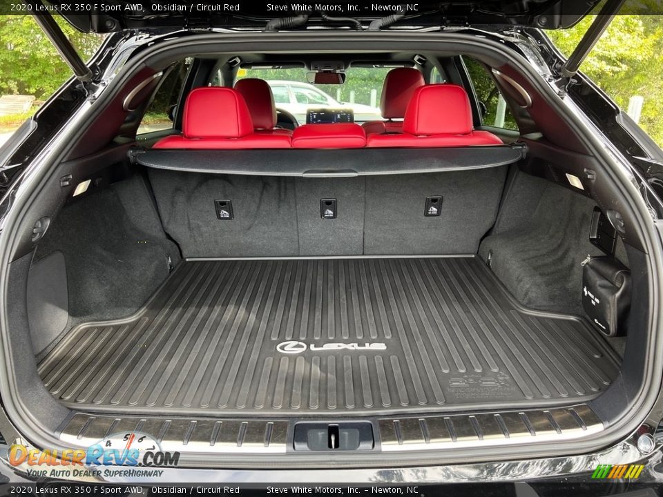 2020 Lexus RX 350 F Sport AWD Trunk Photo #14