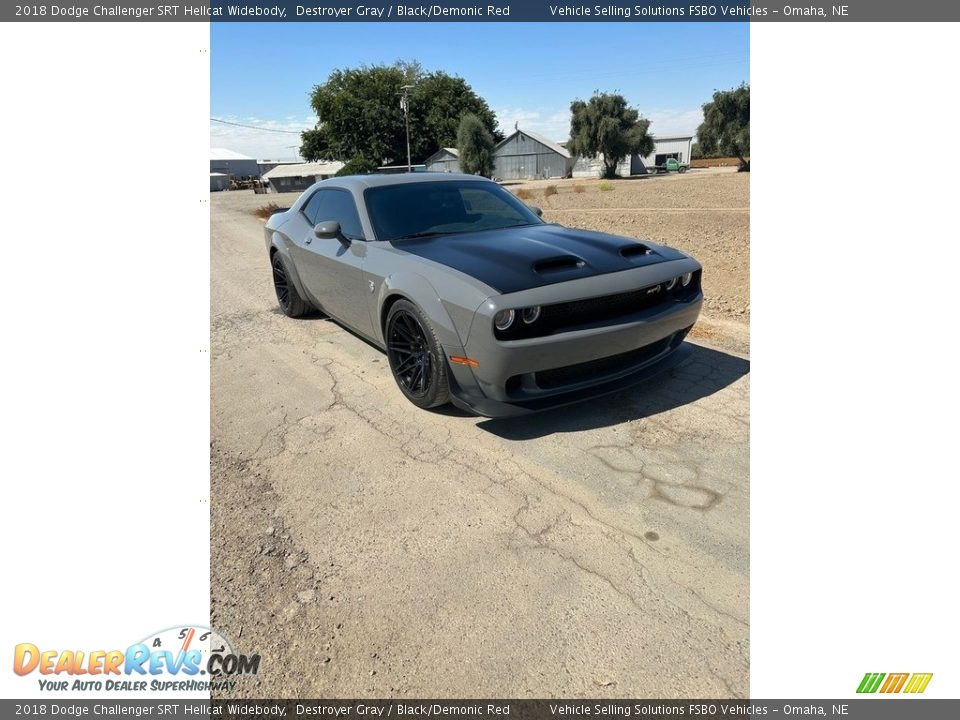 2018 Dodge Challenger SRT Hellcat Widebody Destroyer Gray / Black/Demonic Red Photo #8