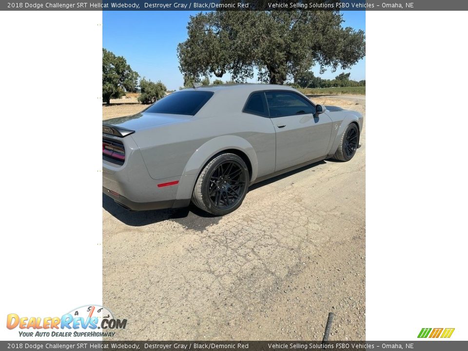 2018 Dodge Challenger SRT Hellcat Widebody Destroyer Gray / Black/Demonic Red Photo #10