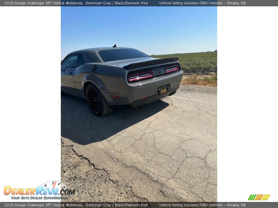 2018 Dodge Challenger SRT Hellcat Widebody Destroyer Gray / Black/Demonic Red Photo #15