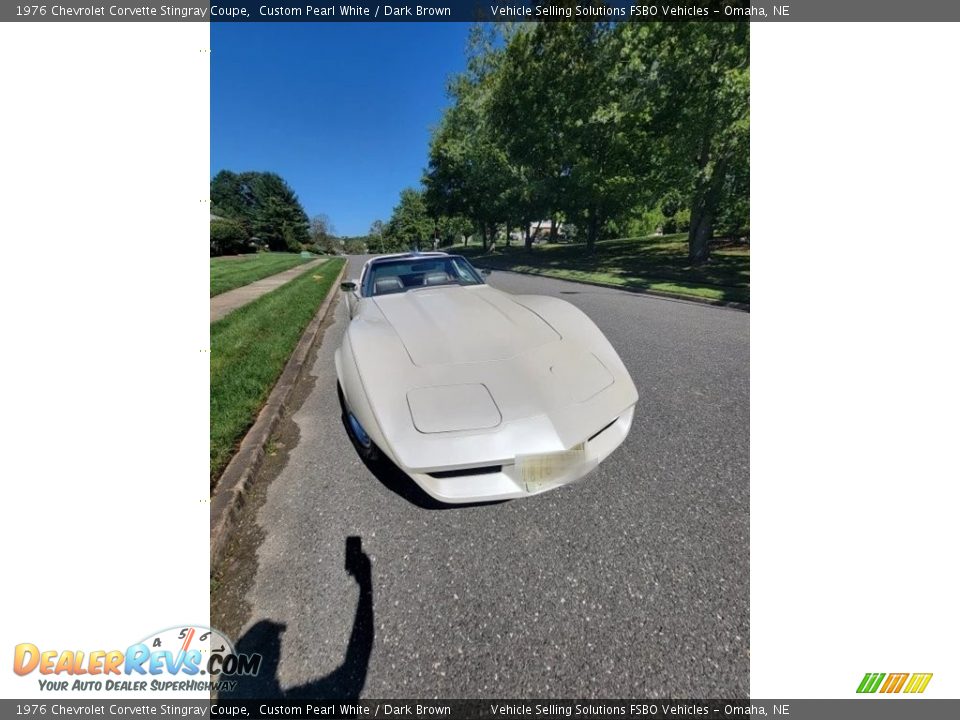 1976 Chevrolet Corvette Stingray Coupe Custom Pearl White / Dark Brown Photo #16