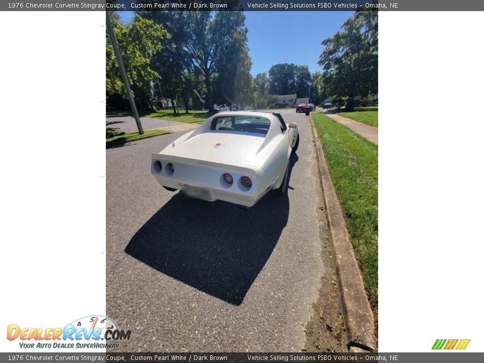 1976 Chevrolet Corvette Stingray Coupe Custom Pearl White / Dark Brown Photo #19