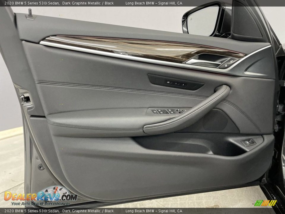 Door Panel of 2020 BMW 5 Series 530i Sedan Photo #12