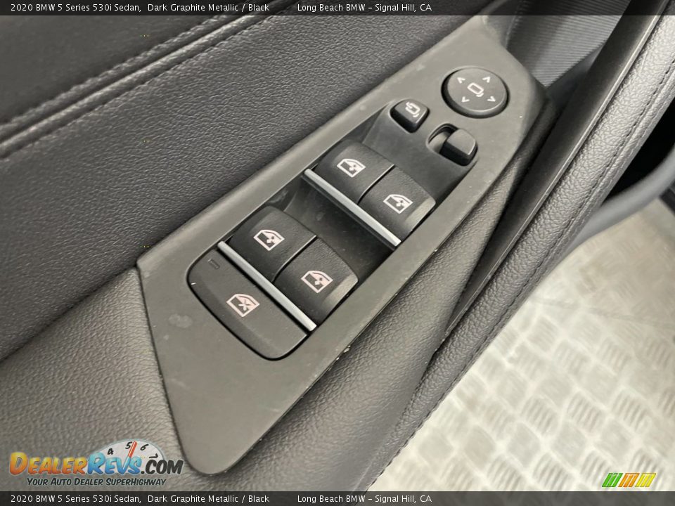 Door Panel of 2020 BMW 5 Series 530i Sedan Photo #13