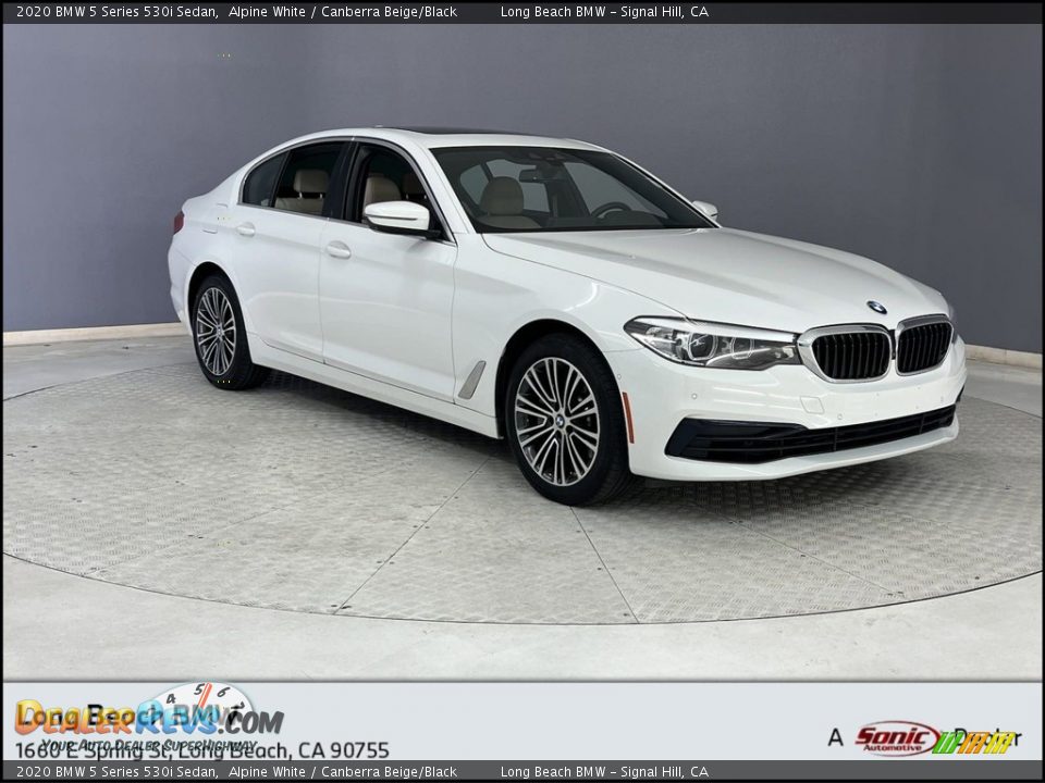 2020 BMW 5 Series 530i Sedan Alpine White / Canberra Beige/Black Photo #1