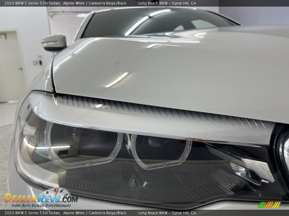 2020 BMW 5 Series 530i Sedan Alpine White / Canberra Beige/Black Photo #6