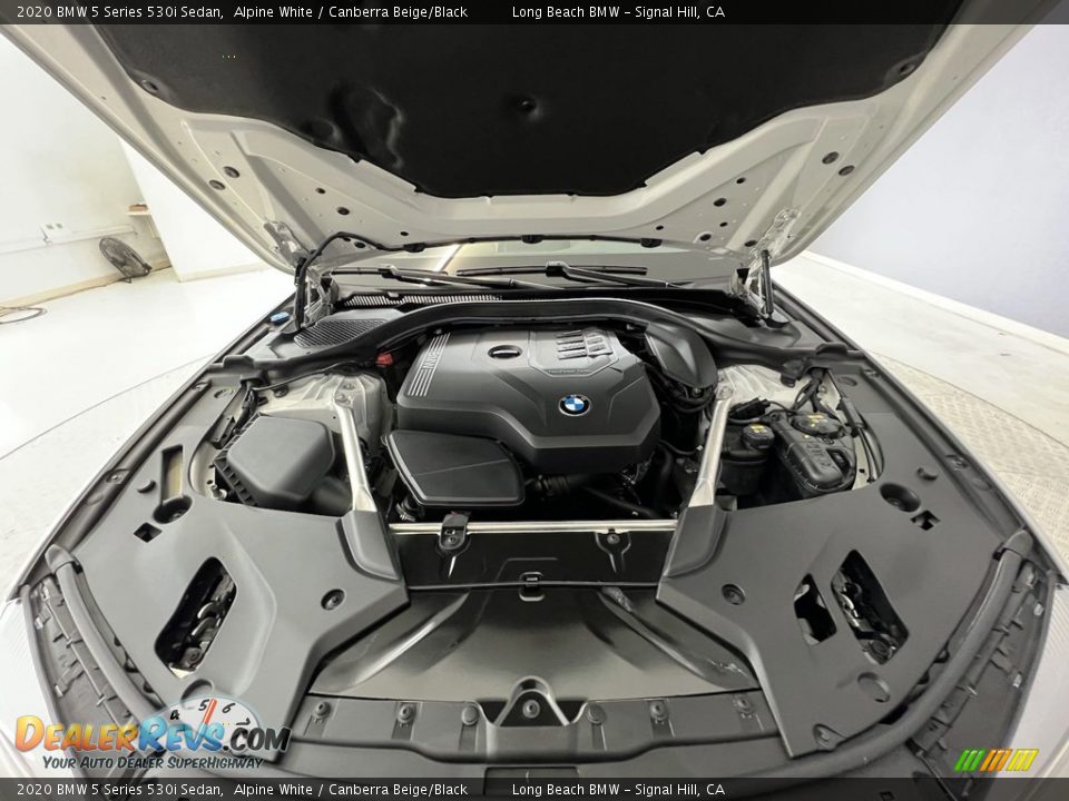 2020 BMW 5 Series 530i Sedan Alpine White / Canberra Beige/Black Photo #7