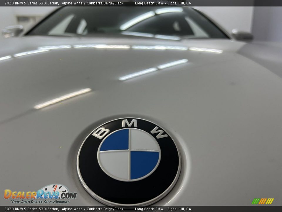 2020 BMW 5 Series 530i Sedan Alpine White / Canberra Beige/Black Photo #8