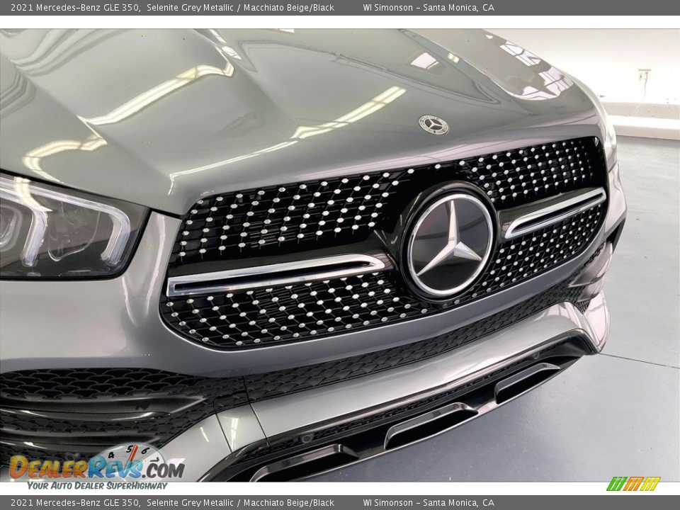 2021 Mercedes-Benz GLE 350 Logo Photo #30