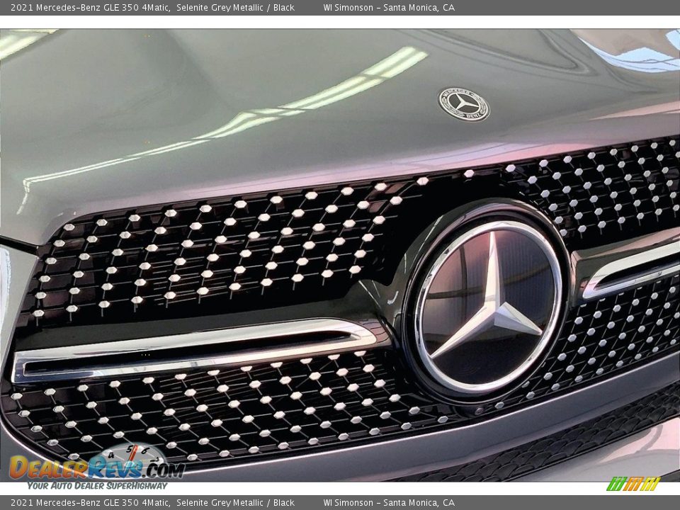 2021 Mercedes-Benz GLE 350 4Matic Logo Photo #30