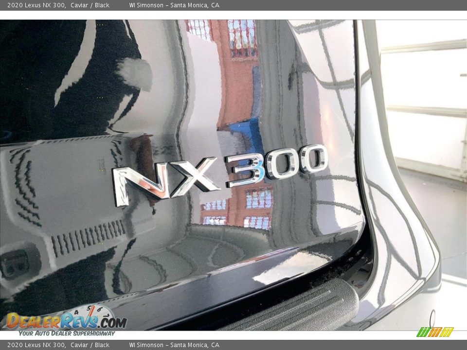 2020 Lexus NX 300 Logo Photo #7