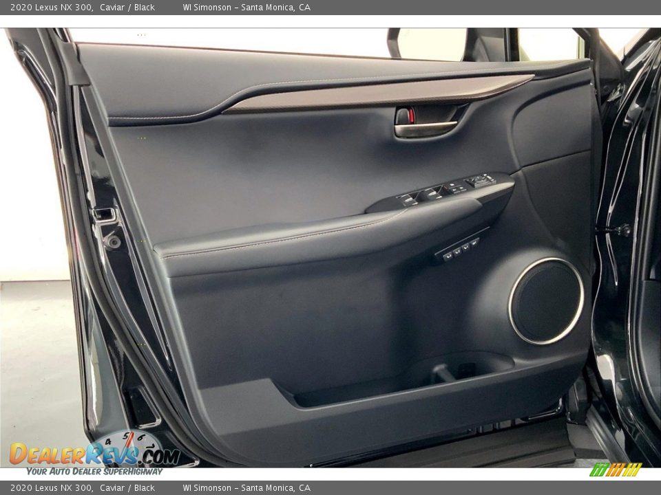 Door Panel of 2020 Lexus NX 300 Photo #26