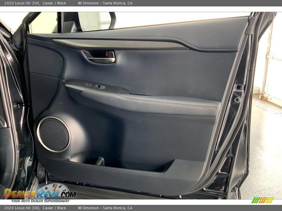 Door Panel of 2020 Lexus NX 300 Photo #27