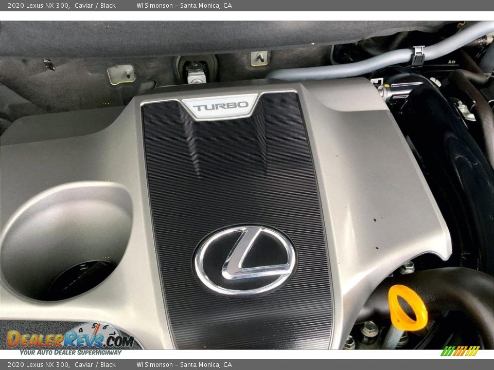 2020 Lexus NX 300 Logo Photo #32