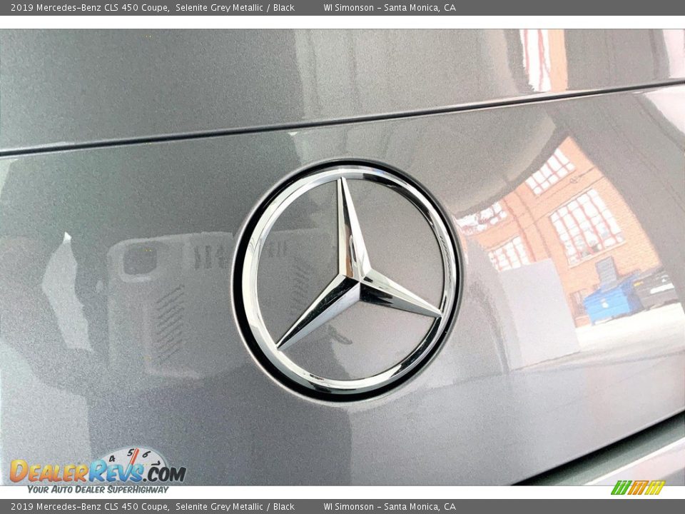 2019 Mercedes-Benz CLS 450 Coupe Selenite Grey Metallic / Black Photo #7