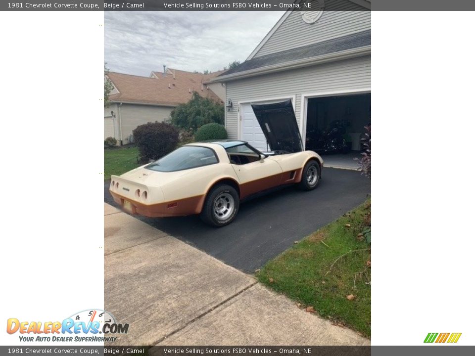 1981 Chevrolet Corvette Coupe Beige / Camel Photo #1