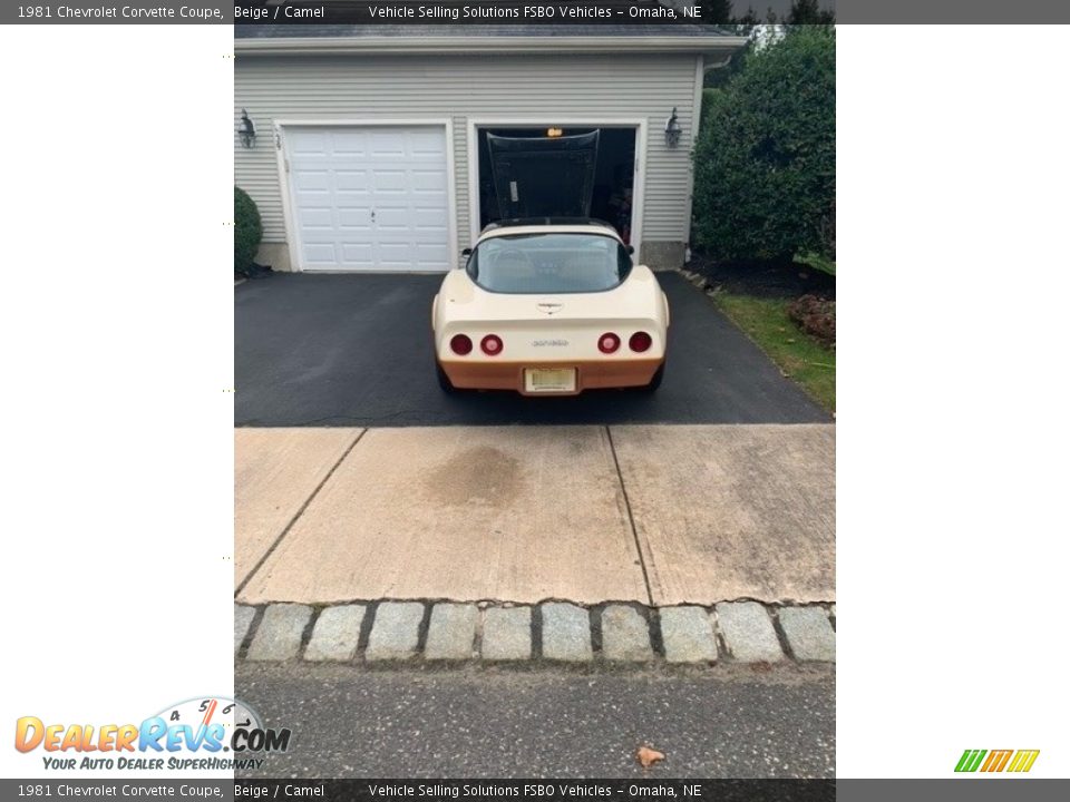 1981 Chevrolet Corvette Coupe Beige / Camel Photo #2