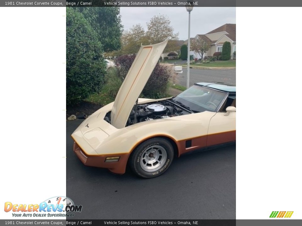 1981 Chevrolet Corvette Coupe Beige / Camel Photo #5