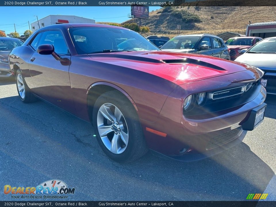 2020 Dodge Challenger SXT Octane Red / Black Photo #1