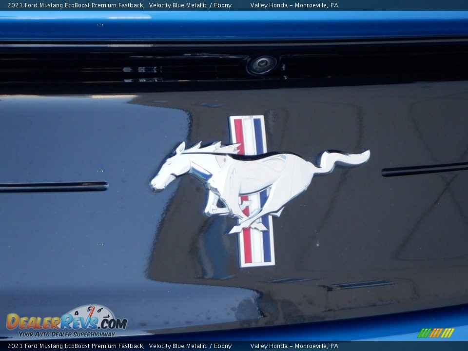 2021 Ford Mustang EcoBoost Premium Fastback Velocity Blue Metallic / Ebony Photo #7