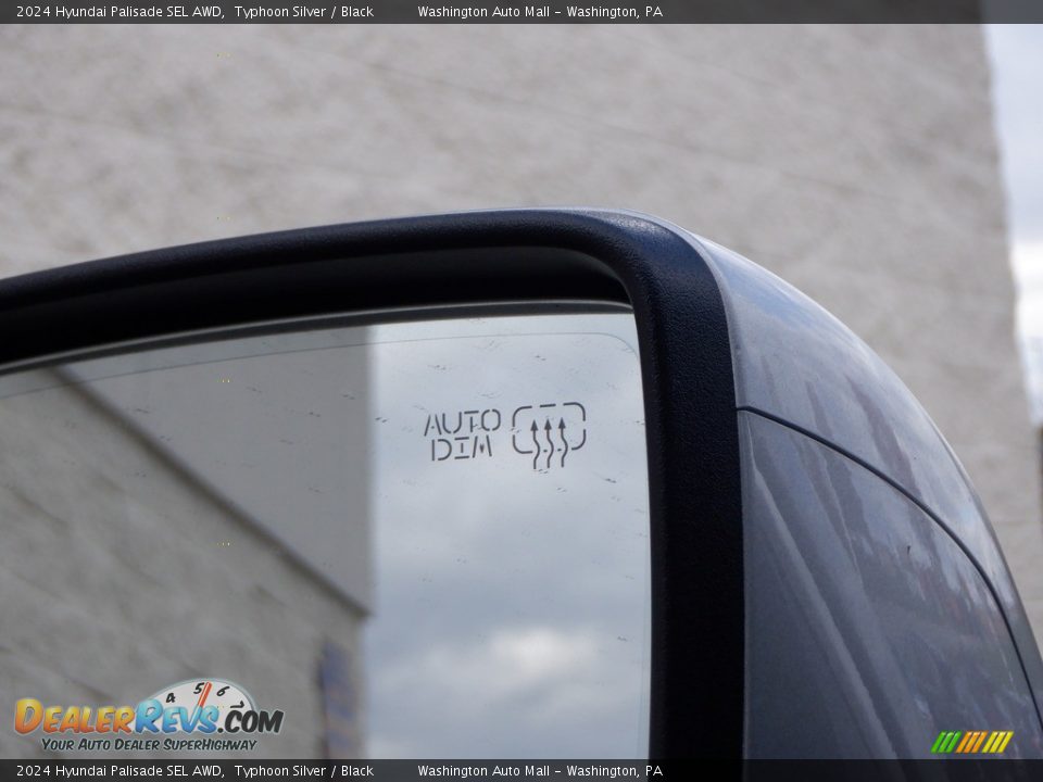 2024 Hyundai Palisade SEL AWD Typhoon Silver / Black Photo #24