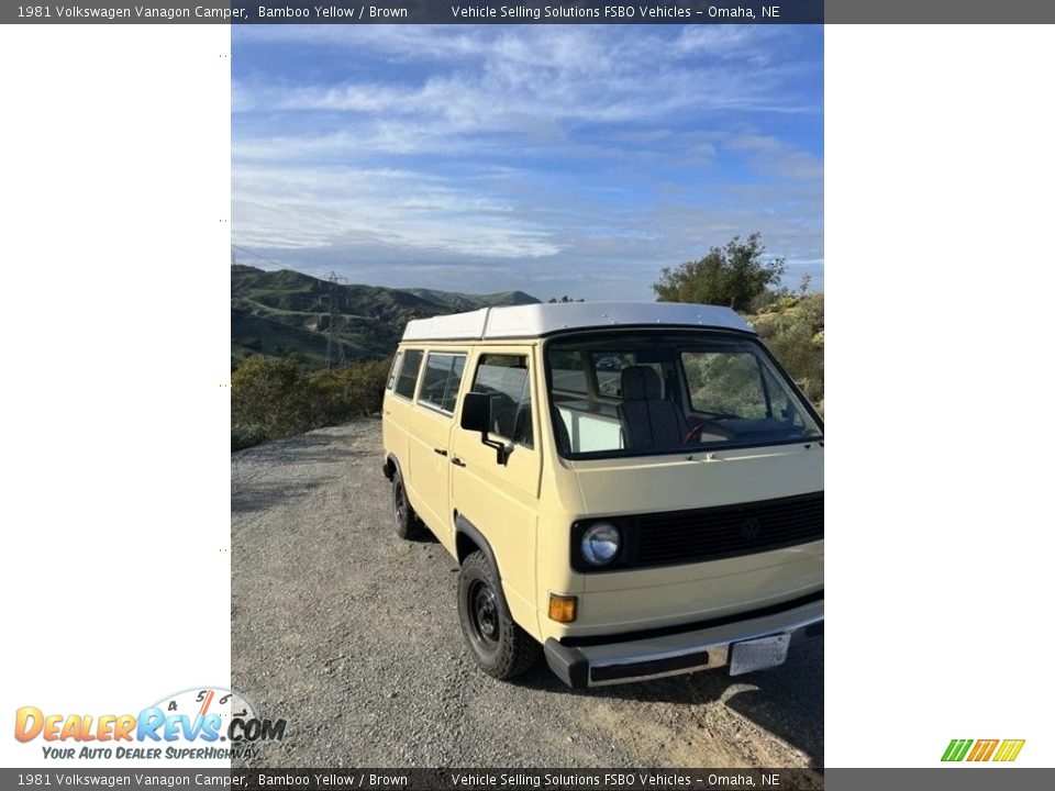 Front 3/4 View of 1981 Volkswagen Vanagon Camper Photo #15