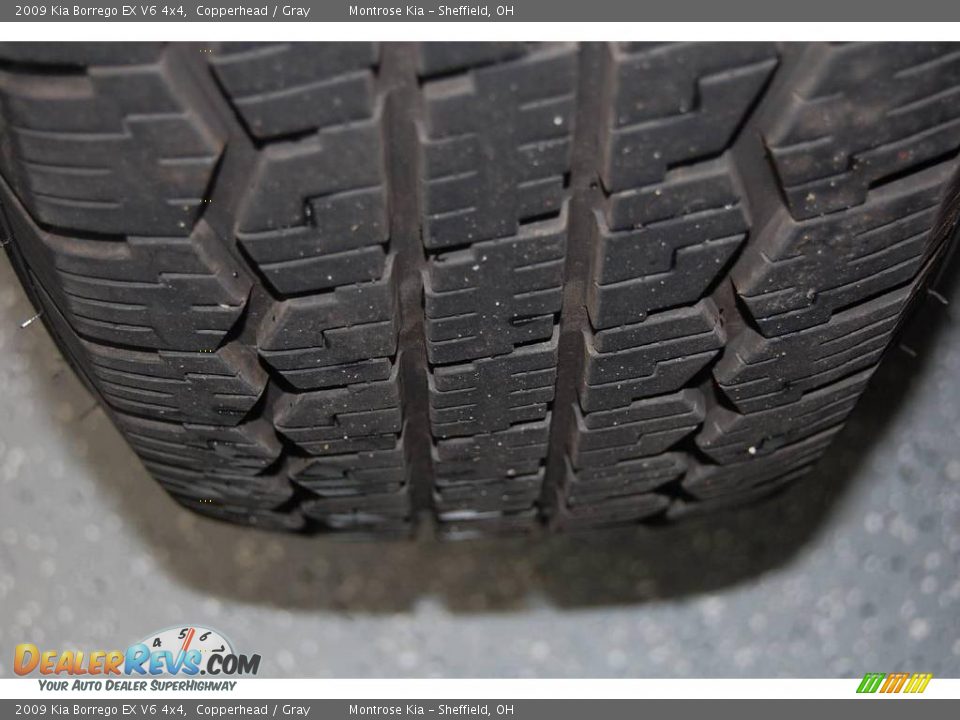 2009 Kia Borrego EX V6 4x4 Copperhead / Gray Photo #35